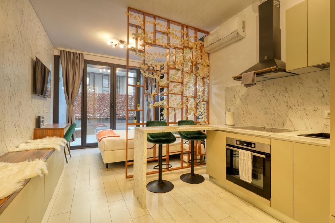 Herastrau Luxury Studios Bukareszt Zewnętrze zdjęcie